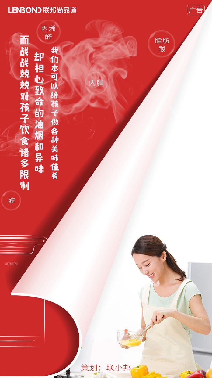 联邦尚品道 集成顶墙 空气净化器