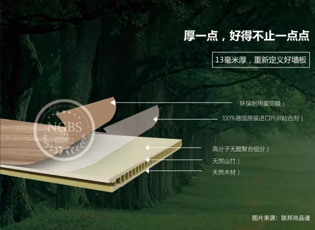 联邦尚品道 集成墙面 装修材料 效果图