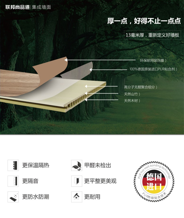 集成墙面 集成墙面