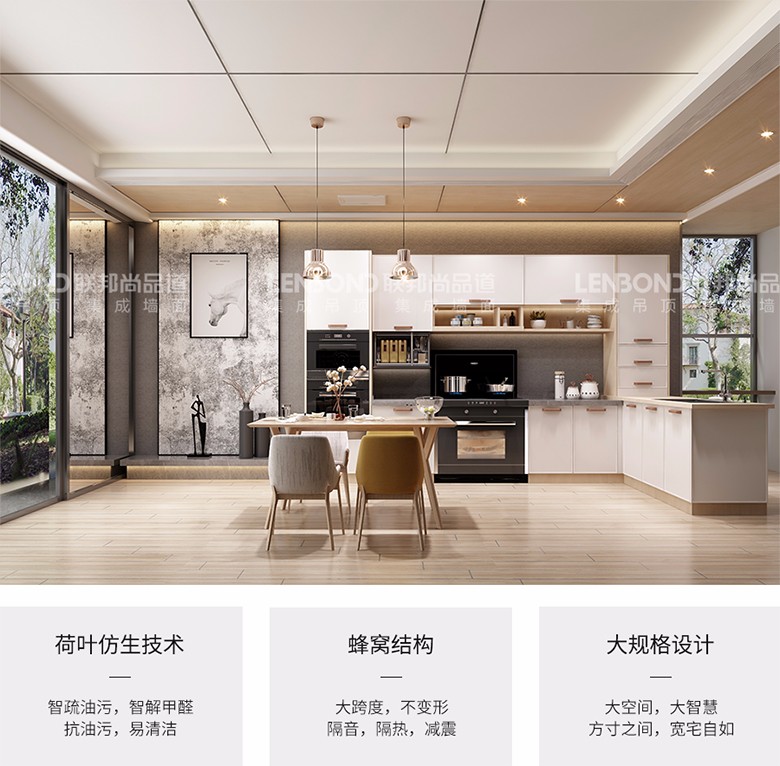 联邦尚品道吊顶墙面