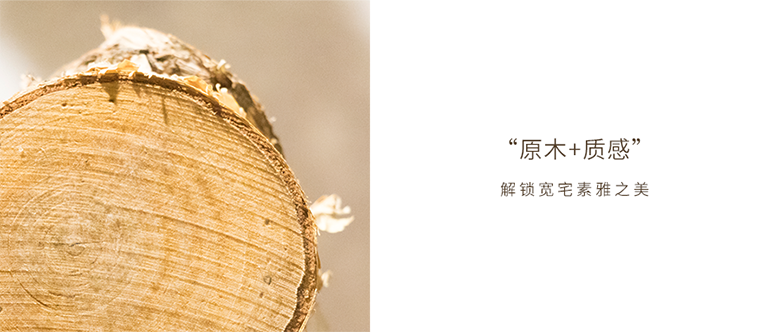 联邦尚品道宽宅大板