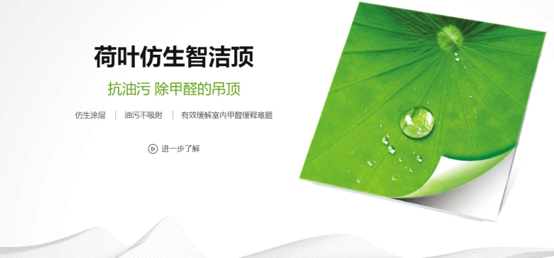 荷叶仿生智洁顶.jpg
