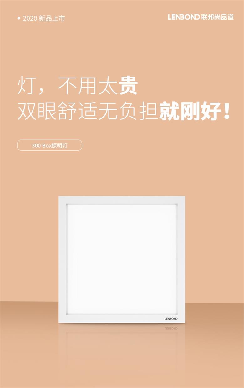 300Box照明灯.jpg 300Box照明灯.jpg