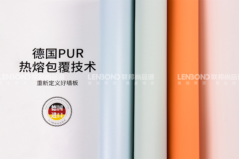 德国PUR热熔包覆技术